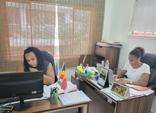 portfolio_img_01_new